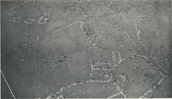 Ett stycke av gammal övergiven bygd från järnåldern, Södra Greda i Föra socken på Oland. I förgrunden tvenne rektangulära<bhusgrunder, den ena utan mur längs ena kortsidan, och uppe till vänster ytterligare ett gårdskomplex, bestående av tvenne hus. De<blånga, vita ränderna äro rester av raserade hägnadsmurar, som avgränsat lövängslotter och mjölkningsfållor från utmarken och<binhägnat vägar och fädrifter mellan gårdarna. Flygfoto G. Hård.