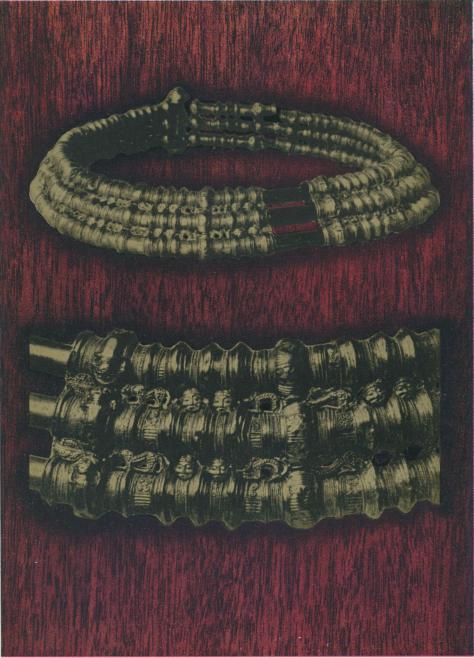 Guldhalskrage från Ålleberg i Västergötland.