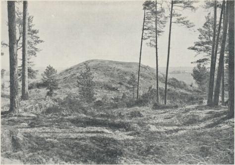 Ottarshögen vid Vendel i Uppland. Högen är uppförd under tidigt 500-tal och torde vara<bgravplatsen för den i sagorna omtalade sveakonungen Ottar, som enligt en skaldedikt<b(från SOO-talet) blev högsatt i Vendel.