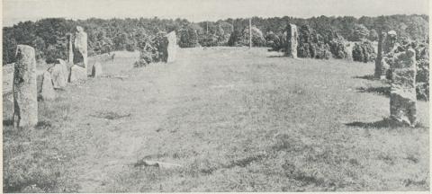 Stensättning från Hjortahammar i Blekinge. Ingår i ett större gravfält med resta stenar,<bvilket åtminstone delvis tillhör vikingatid. Stensättning från Hjortahammar i Blekinge. Ingår i ett större gravfält med resta stenar,<bvilket åtminstone delvis tillhör vikingatid.