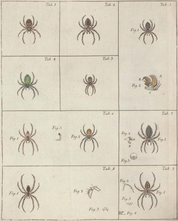 Tab. 1.        Tab. 2.        Tab. 3. Fig. 1. Fig. 2.<bTab. 4.        Tab. 5.<bTab. 6. Fig. 1. Fig. 3. Fig. 2.        Tab. 7. Fig. 2. Fig. 1. Fig. 3.<bTab. 8. Fig. 1. Fig. 2. Fig. 3.        Fig. 9. Fig. 2. Fig. 1. Fig. 3. Fig. 4.