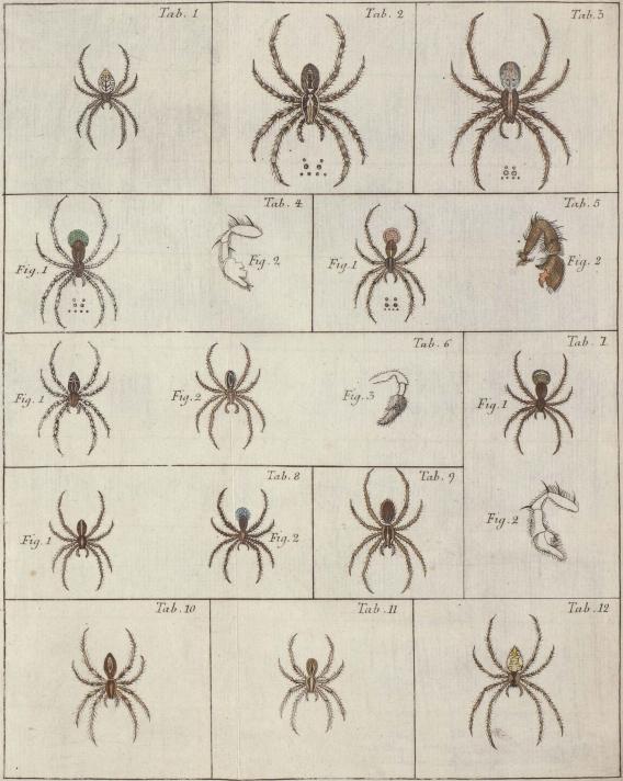 Tab. 1.        Tab. 2.        Tab. 3<bTab. 4.        Tab. 5. Fig 1. Fig. 2.<bTab. 6. Fig. 1. Fig. 2. Fig. 3.        Tab. 7. Fig. 1. Fig. 2.<bTab. 8. Fig. 1. Fig. 2.        Tab. 9.<bTab. 10.        Tab. 11.        Tab. 12.