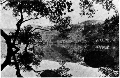 Fig. 1. Nemi. Fig. 1. Nemi.
