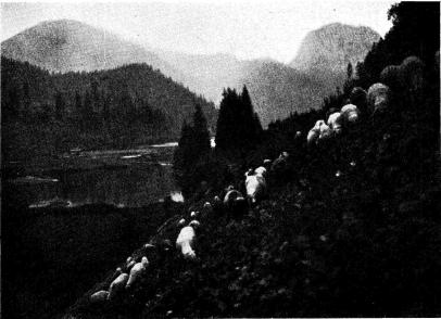 Fig. 1. Utsikt från bergstrakterna i Transsylvanien. Sjön Gyilcos. Fig. 1. Utsikt från bergstrakterna i Transsylvanien. Sjön Gyilcos.