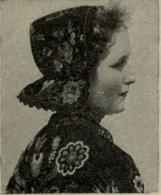 Fig. 1. Fig. 1.