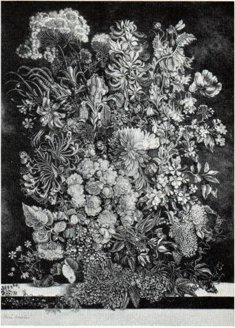 Stig Borglind: Flora Suecica II