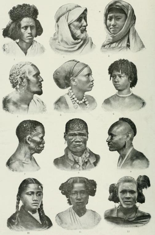 1. Beds̆a (Hadendoa) (etiopialainen). — 2. Beduiini — 3. Tyttö Biskrasta (berberi). —<b4. Midgan-mies. — 5. Somali-nainen. — 6. Ruanda-tyttö (vahumalaisia). —<b7. Bus̆man-vaimo. — 8. Hottentotti. — 9. Mukamba (Bantu-neekoreitä). —<b10. Hova-tyttö (malaijilaisia Madagaskarista). — 11. Sakalavi-tyttö (negroideja Madagaskarista). — 12. Massai-nuorukainen.