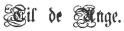 <smalTil de Unge.</smal