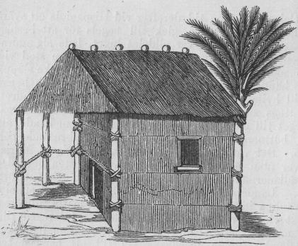 50. Infödingshydda på Hispaniola.