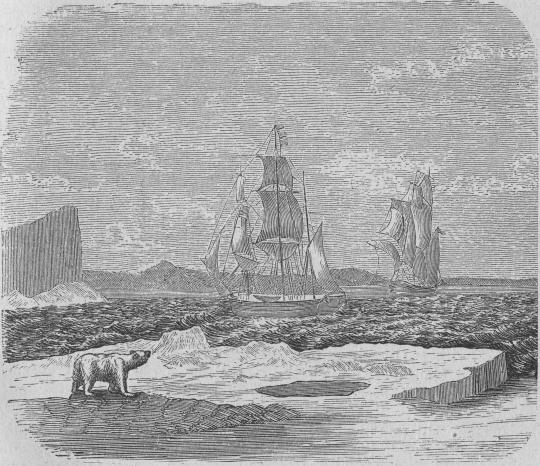 139.  Erebus och Terror i Melvillebay.