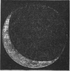 Fig. 26. Askmåne.