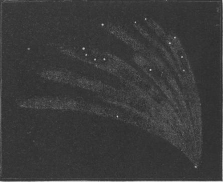 Fig. 48. Kometen af 1744.