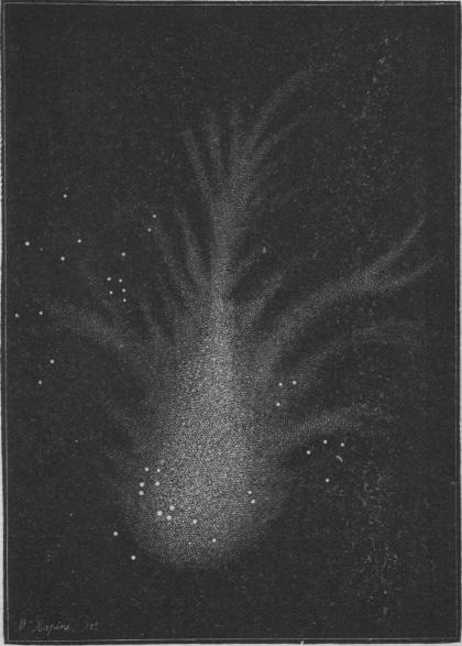 Fig. 75. Crabtöcknet i Oxen.