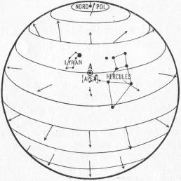 Fig. 21. Den himmelspunkt, mot hvilken solen rör sig, enl. Kapteyn.