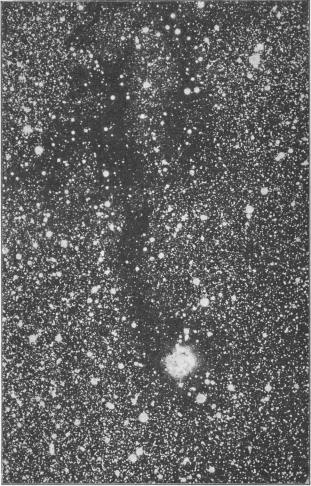 Fig. 23. Nebulosa i Svanen med däri inträngd stjärna. (M. Wolf.)