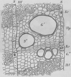 <b<span class=