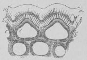 Fig. 4. Fig. 4.