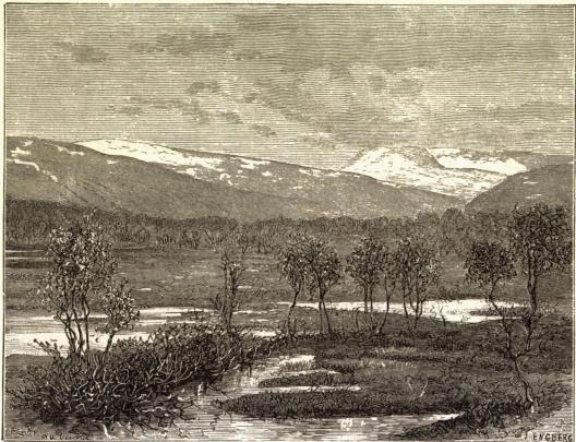 <smalIll. R. Haglund.                        J. ENGBERG, xyl.</smal<b<biTrægrændsen i Norge.</bi<bVed Præstevandet paa Tromsøen, efter Fotografi.