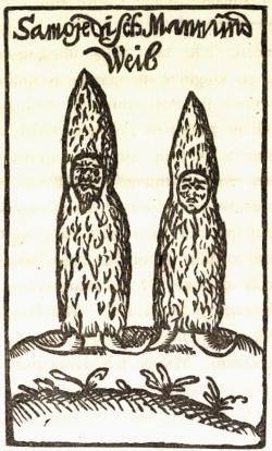 Samojeder<befter <span class= Samojeder<befter <span class=