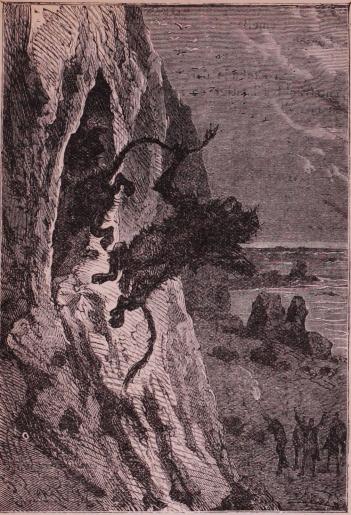 Apan, dödligt sårad, nedstörtade på marken (sid. 330).