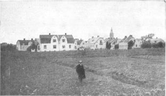Thorsson på promenad i hemmets omgivningar. Thorsson på promenad i hemmets omgivningar.