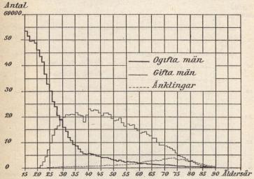 V. Fördelningen i civilstånd år 1906: männen.