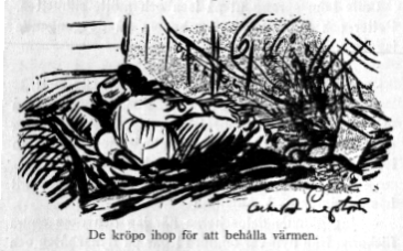 Bild: De kröpo ihop för att behålla värmen.