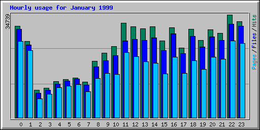 Hourly usage for January 1999