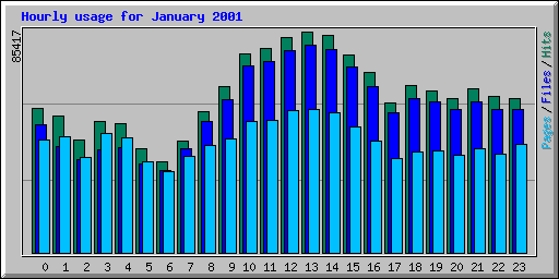 Hourly usage for January 2001