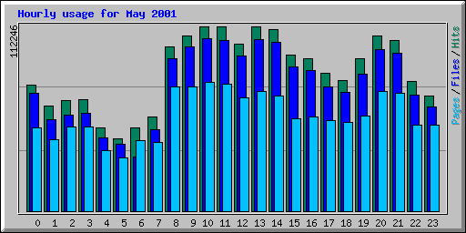 Hourly usage for May 2001