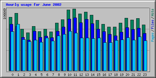 Hourly usage for June 2002