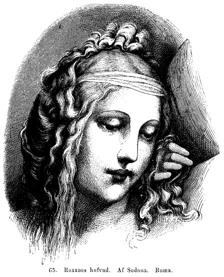 65. Roxannes hufvud. Af
Sodona. Roma.