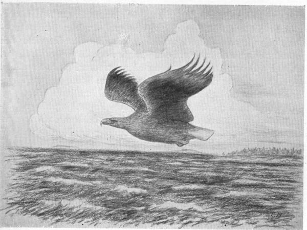 Illustration.
