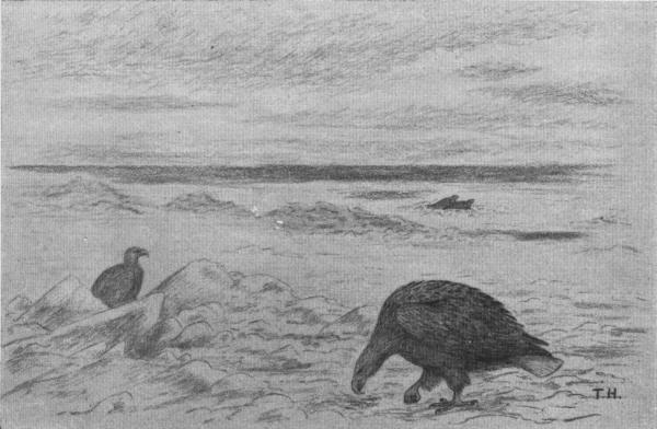 Illustration.