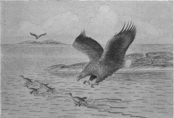Illustration.