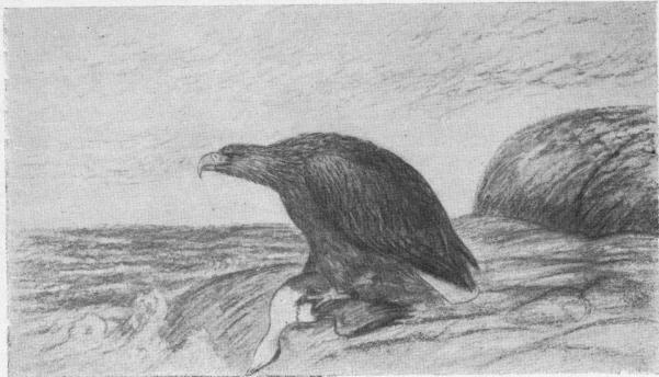 Illustration.