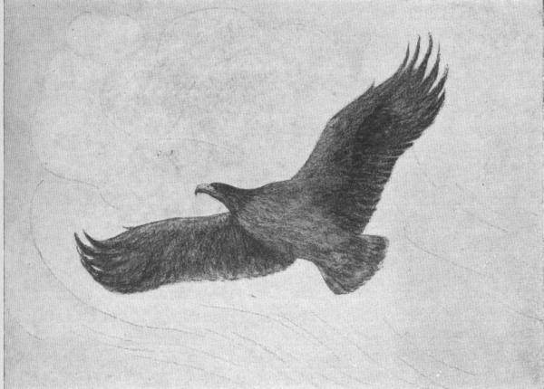 Illustration.