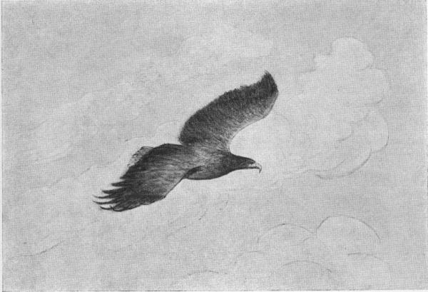 Illustration.