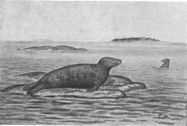Illustration.