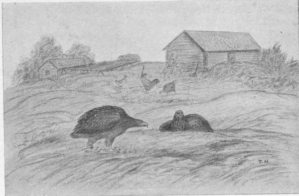 Illustration.