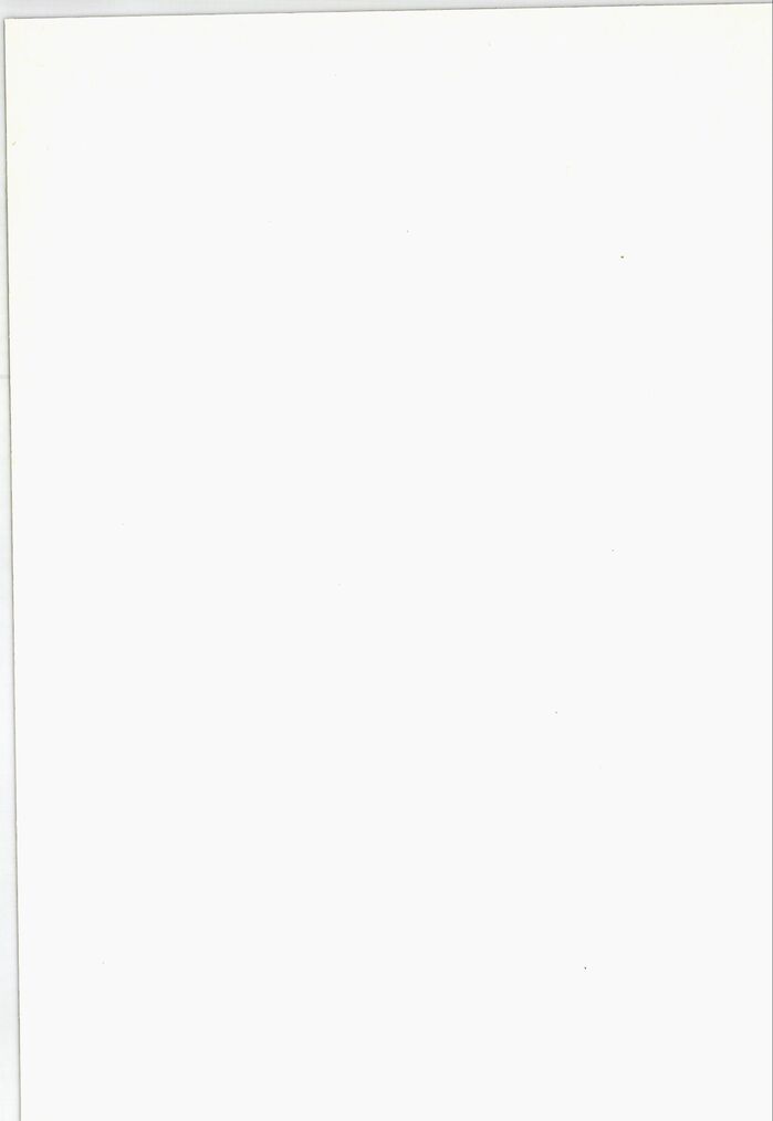 scanned image