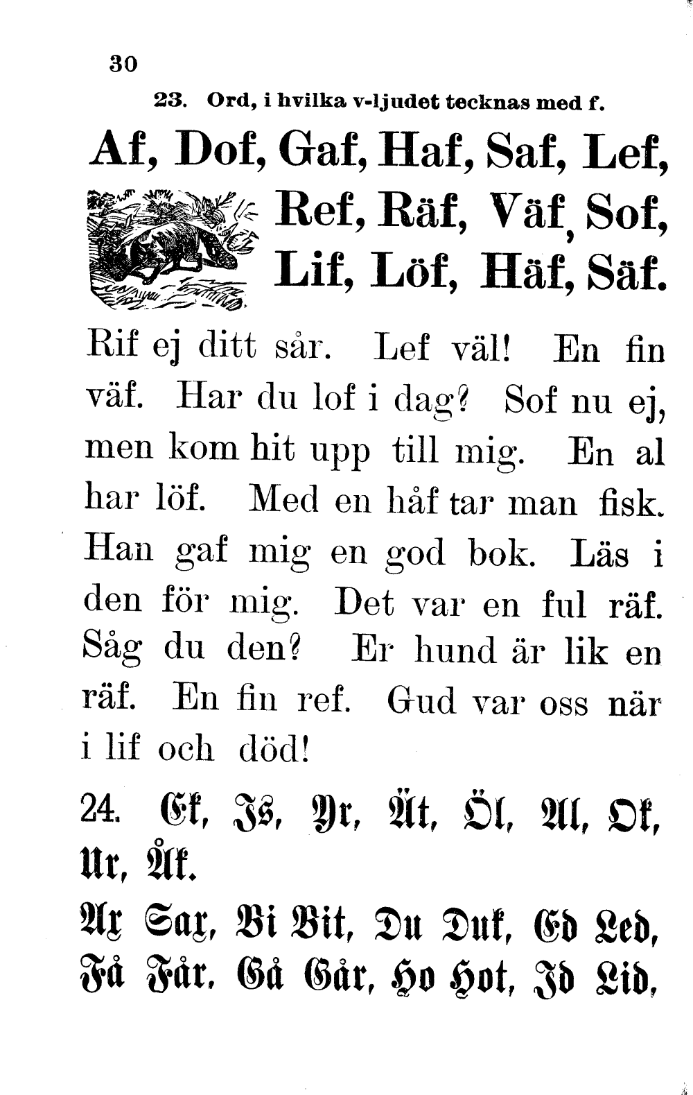 scanned image