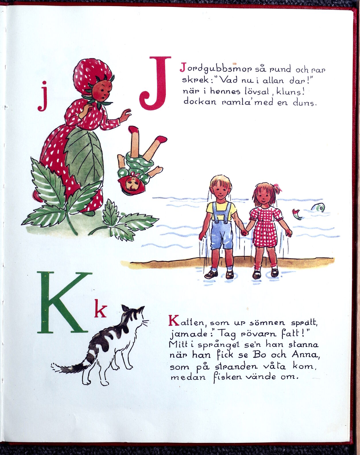 scanned image