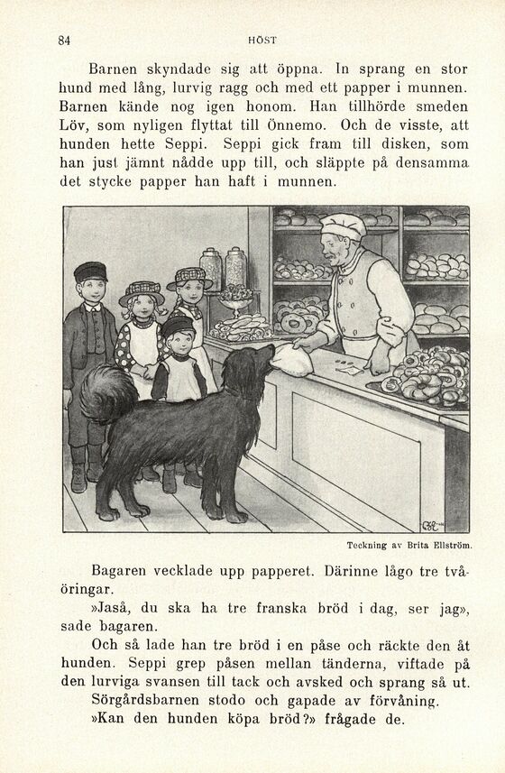 scanned image