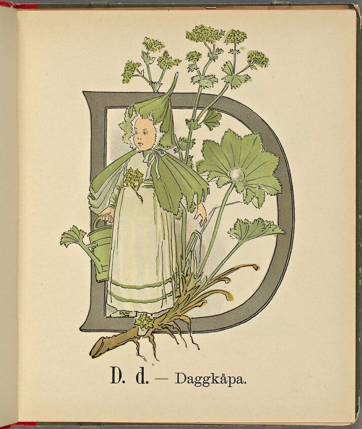 scanned image
