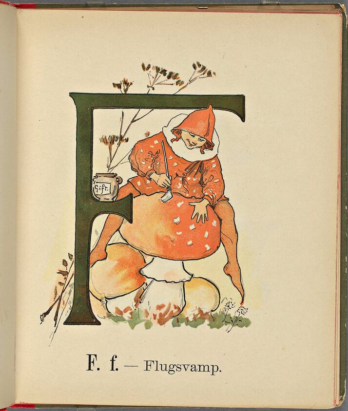 scanned image