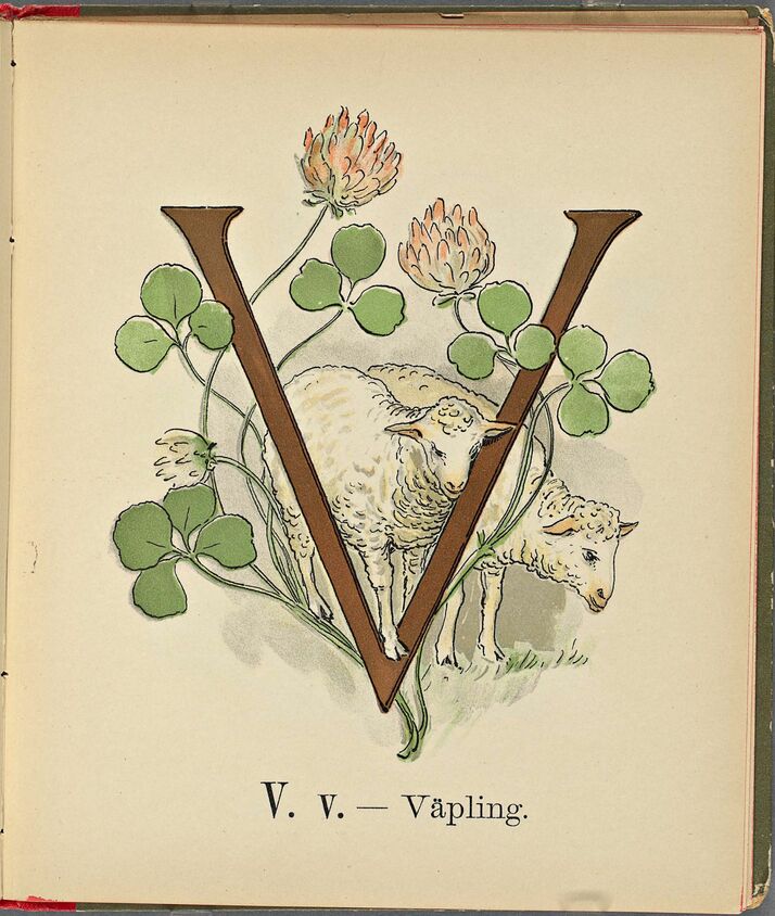 scanned image