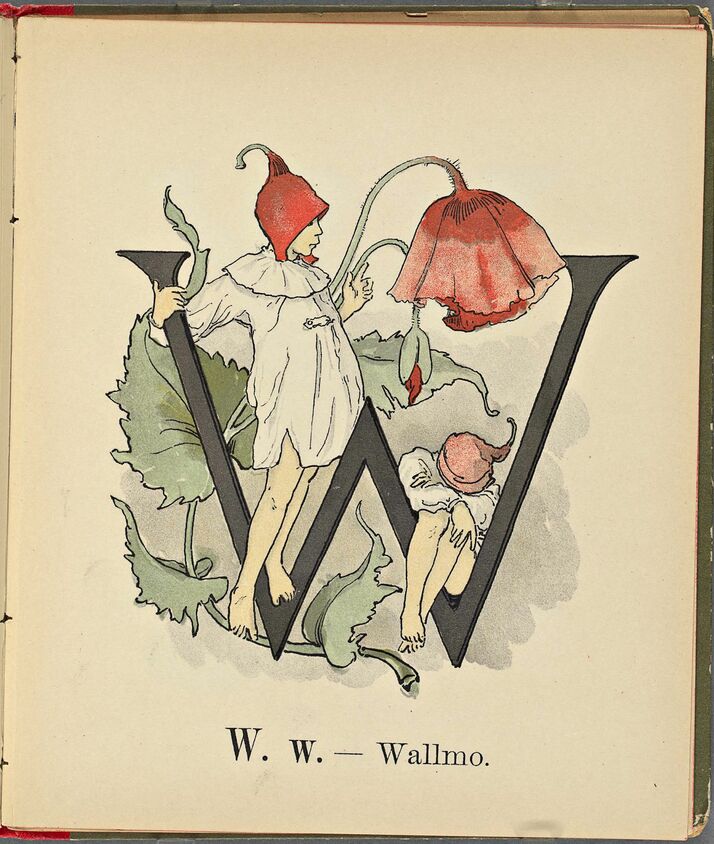 scanned image