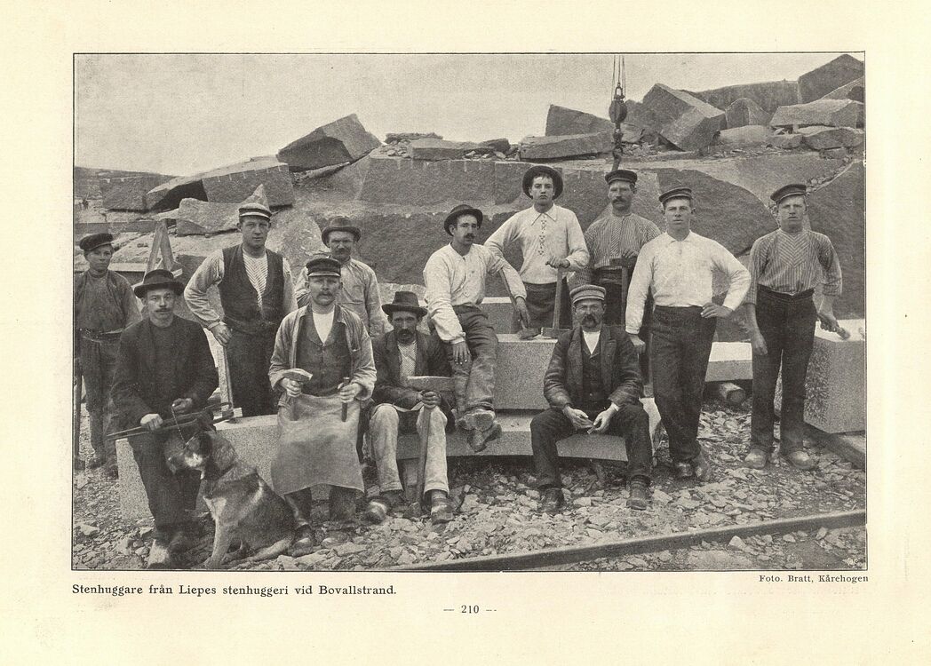 scanned image