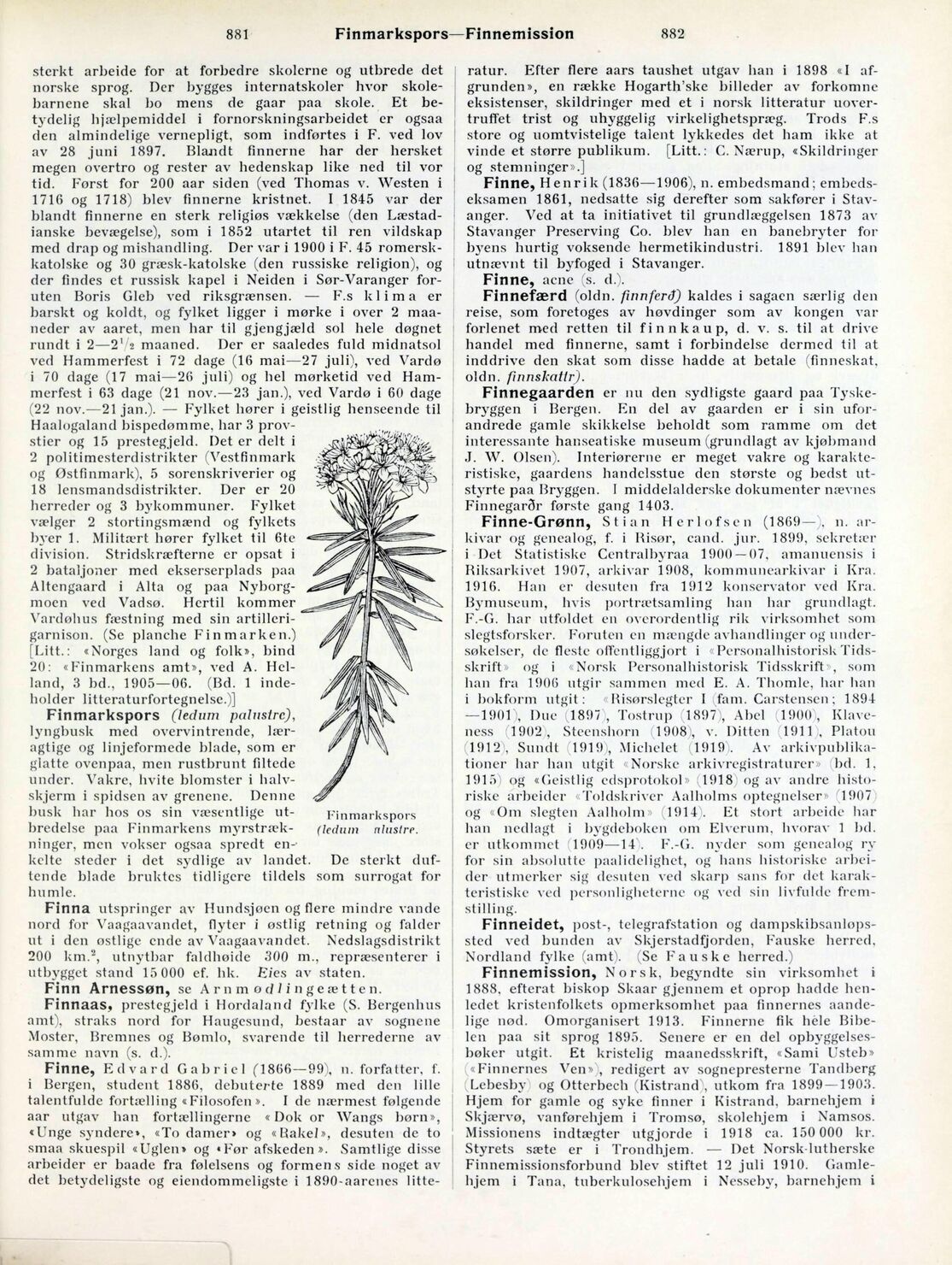 scanned image